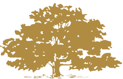 The Tree of Life Foundation International Inc logo