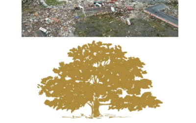 Bahamas Hurricane Relief