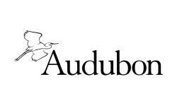 Audubon Florida