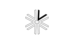 V Starr Interiors