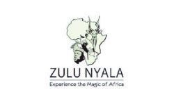 Zulu Nyala